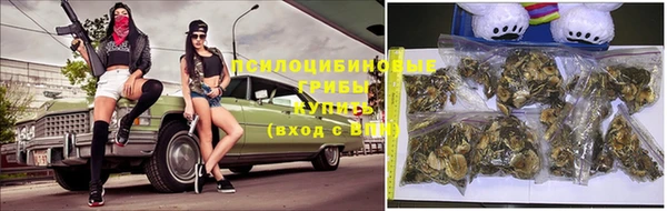 прущая мука Каменногорск